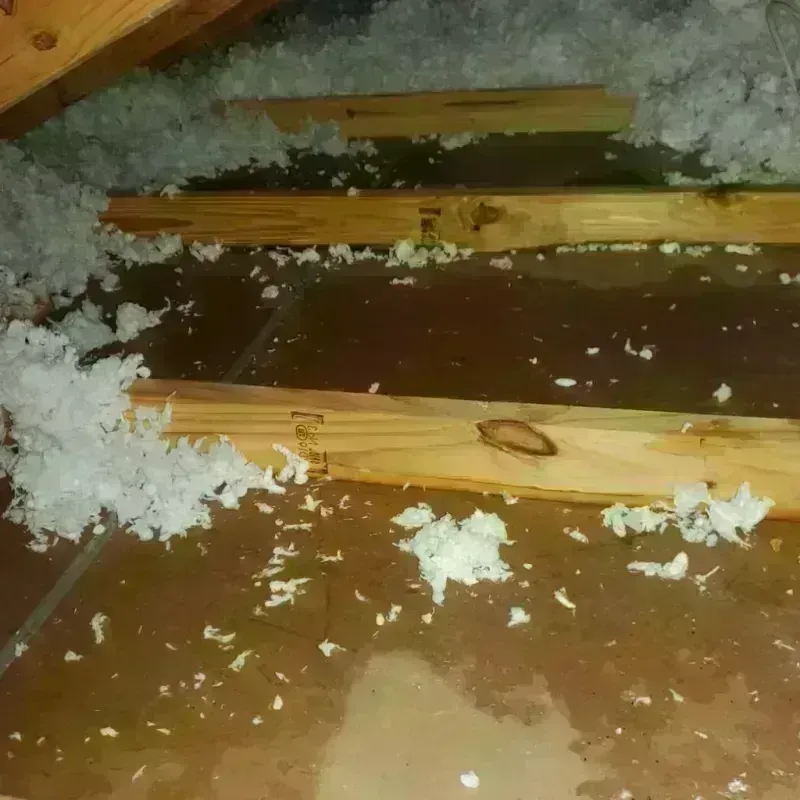 Attic Water Damage in Hartford, SD