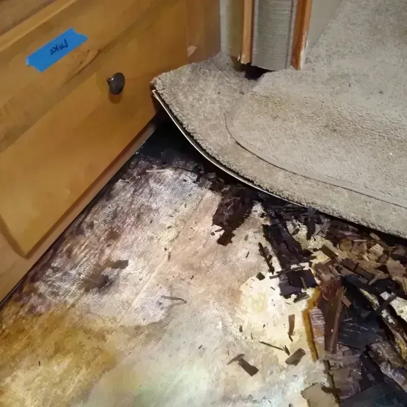 Wood Floor Water Damage in Hartford, SD